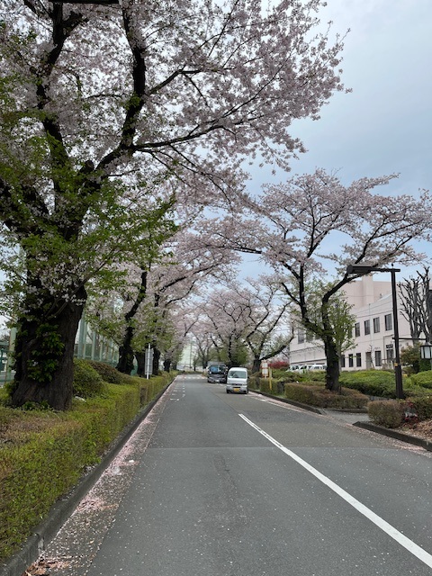 undefined - 2026-04-07T140022.346